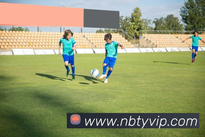 牛八体育发展历程